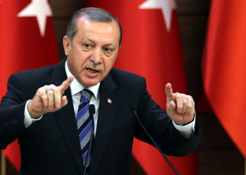 الرئيس التركي يلوّح بشن عملية عسكرية في إدلب إذا واصلت روسيا معاركها هناك