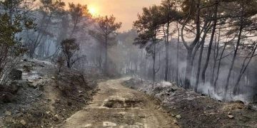 حرائق غابات سوريا